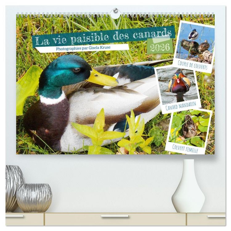 Produktbild: La vie paisible des canards (Calendrier mural 2026 DIN A2 vertical) calendrier de bureau