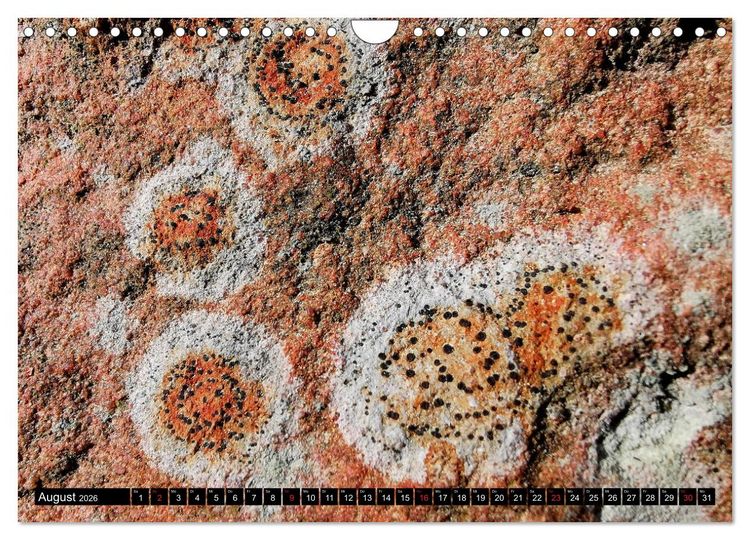 Produktbild: Welt der Flechten (Wandkalender 2026 DIN A4 quer), CALVENDO Monatskalender