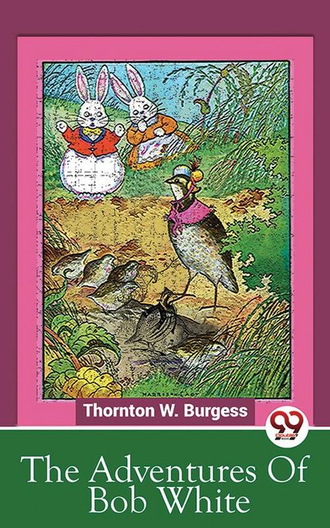 Produktbild: The Adventures Of Bob White