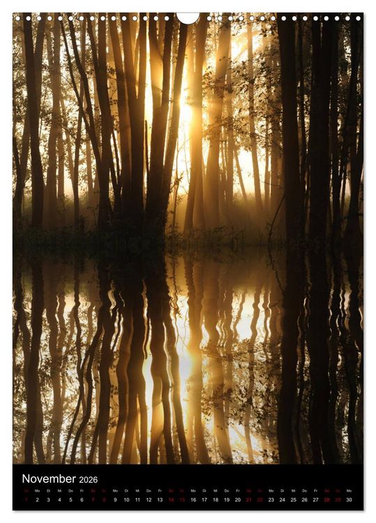 Produktbild: Mystische Stimmungen (Wandkalender 2026 DIN A3 hoch), CALVENDO Monatskalender