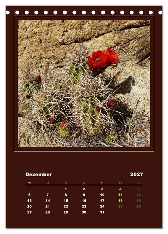 Produktbild: Wilde Kakteen Amerikas (Tischkalender 2027 DIN A5 hoch), CALVENDO Monatskalender