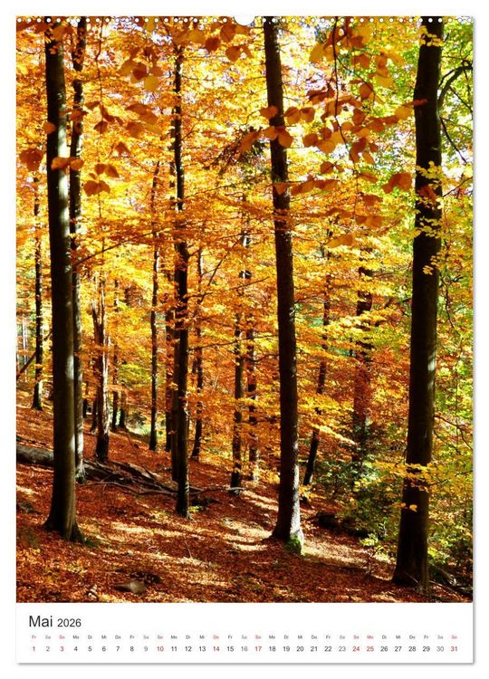 Produktbild: Faszination der Farben im Naturpark Lappwald (Wandkalender 2026 DIN A2 hoch), CALVENDO Monatskalender