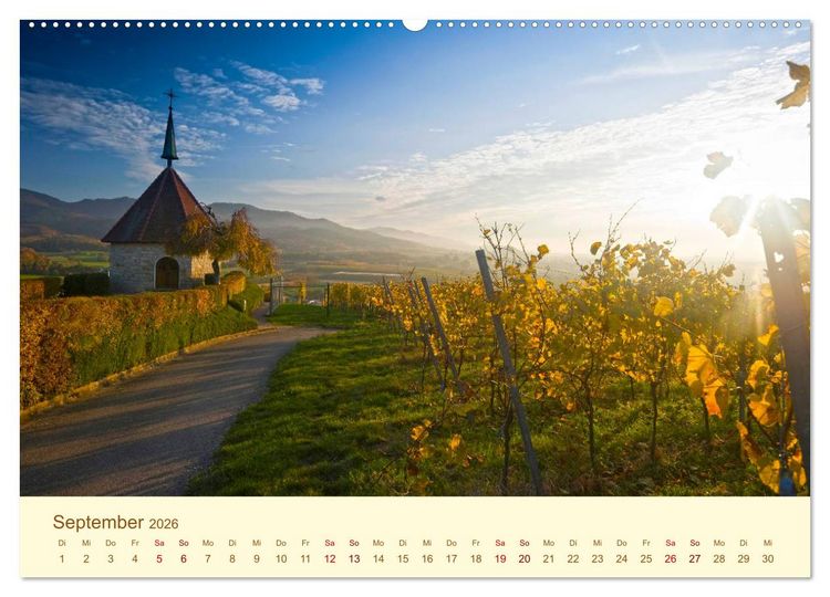 Produktbild: Freiburg Perle im Breisgau (Wandkalender 2026 DIN A2 quer), CALVENDO Monatskalender
