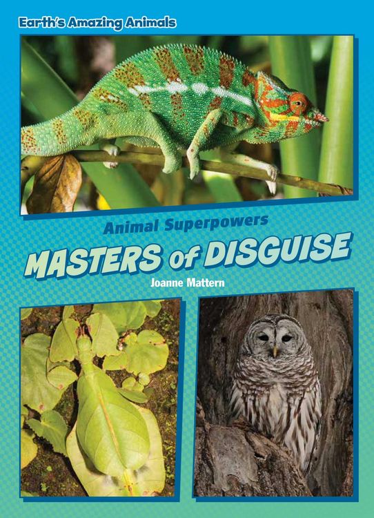 Produktbild: Masters of Disguise