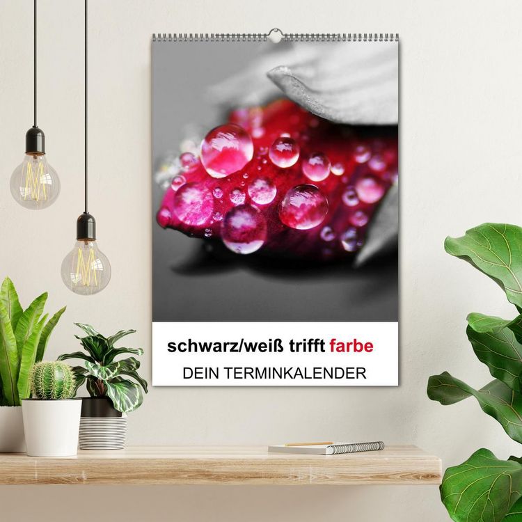 Produktbild: schwarz/wei&szlig; trifft farbe - DEIN TERMINKALENDER / Planer (Wandkalender 2026 DIN A2 hoch), CALVENDO Monatskalender