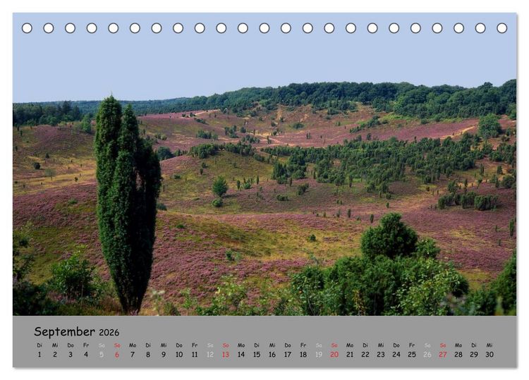 Produktbild: L&uuml;neburger Heide - sch&ouml;n zu jeder Jahreszeit (Tischkalender 2026 DIN A5 quer), CALVENDO Monatskalender