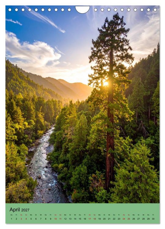 Produktbild: Sequoia Giganten (Wandkalender 2027 DIN A4 hoch), CALVENDO Monatskalender