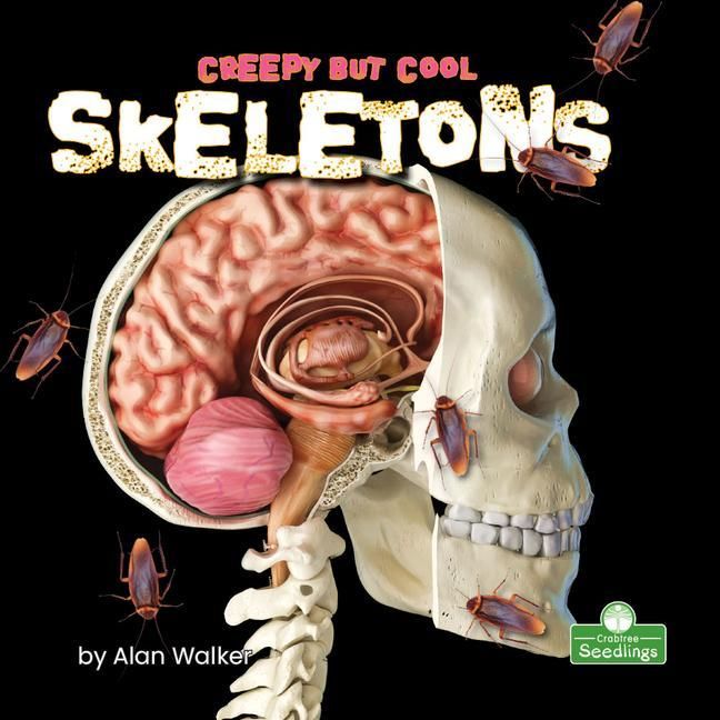Produktbild: Creepy But Cool Skeletons