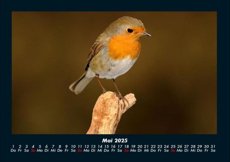 Produktbild: Bilder aus der Natur 2025 Fotokalender DIN A4