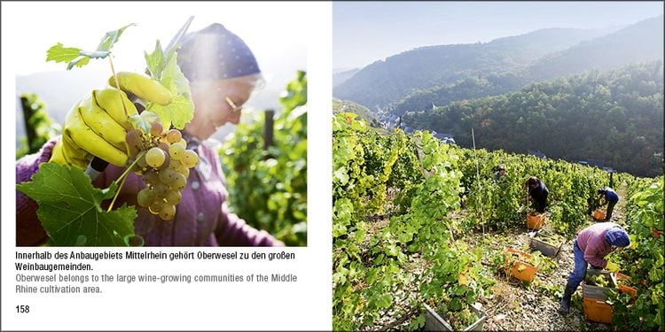 Produktbild: Koblenz bis Bingen / Koblenz to Bingen - Book To Go