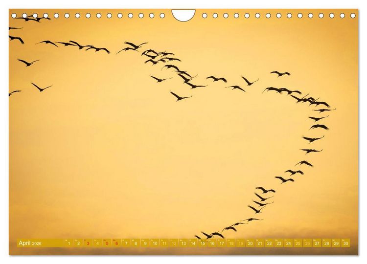 Produktbild: Farben und Muster der Erde (Wandkalender 2026 DIN A4 quer), CALVENDO Monatskalender