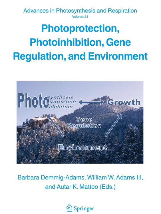 Produktbild: Photoprotection, Photoinhibition, Gene Regulation, and Environment