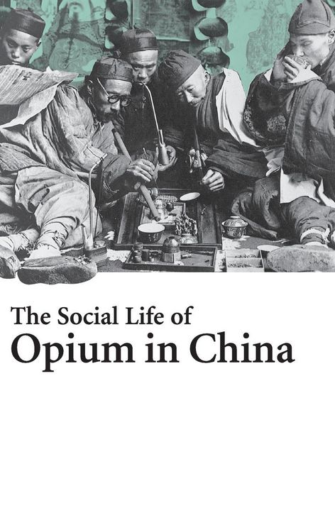 Produktbild: The Social Life of Opium in China