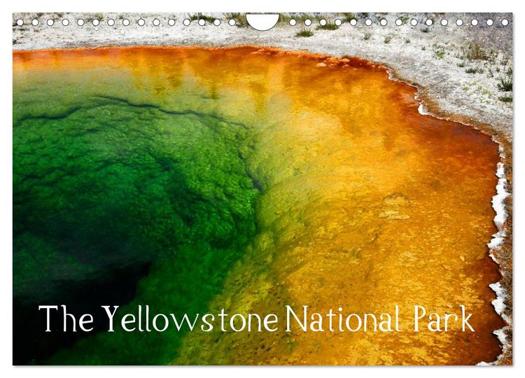 Produktbild: The Yellowstone National Park (Wall Calendar 2026 DIN A4 landscape), CALVENDO 12 Month Wall Calendar