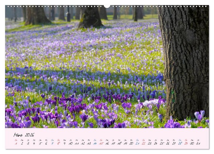 Produktbild: Wald und Baum 2026 (hochwertiger Premium Wandkalender 2026 DIN A2 quer), Kunstdruck in Hochglanz
