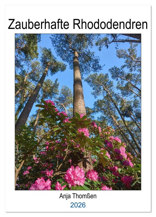 Produktbild: Zauberhafte Rhododendren (Wandkalender 2026 DIN A3 hoch), CALVENDO Monatskalender