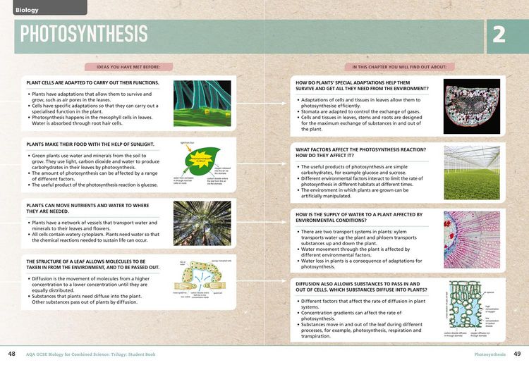 Produktbild: GCSE SCIENCE-AQA GCSE (9-1) B_