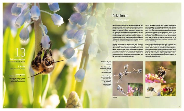 Produktbild: Mein Artenretter Garten