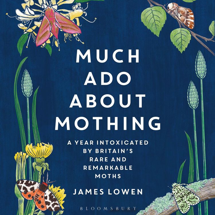 Produktbild: Much Ado About Mothing