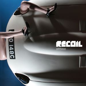 Produktbild: Subhuman (2LP)