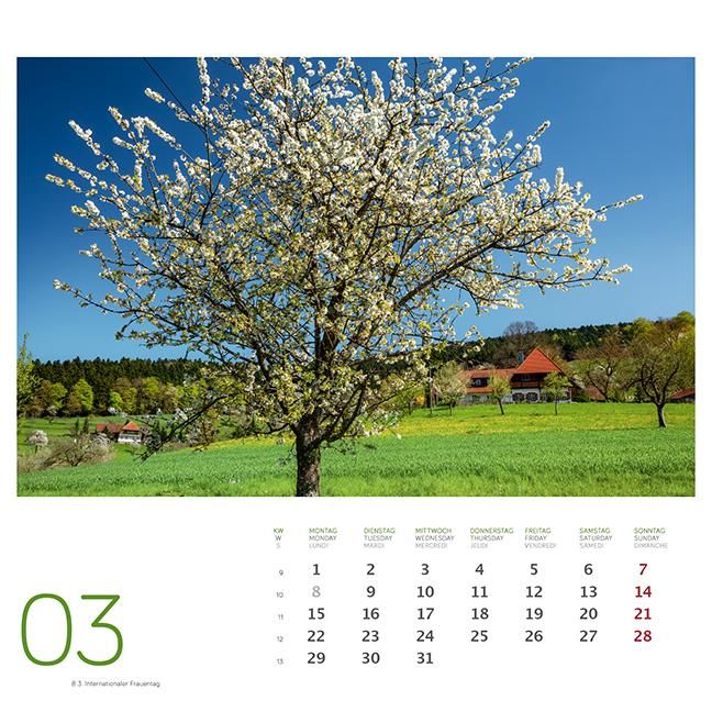 Produktbild: Schwarzwald 2021