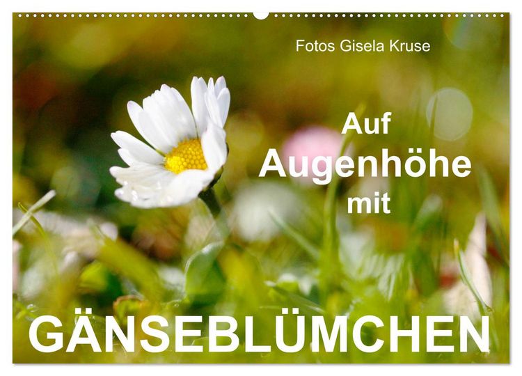 Produktbild: Auf Augenh&ouml;he mit G&auml;nsebl&uuml;mchen (Wandkalender 2026 DIN A2 quer), CALVENDO Monatskalender