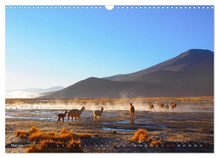Produktbild: Peru und Bolivien - Traumlandschaften (Wandkalender 2026 DIN A3 quer), CALVENDO Monatskalender