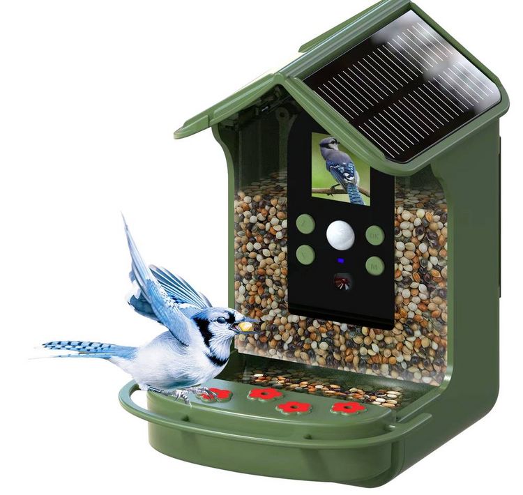 Produktbild: Braun Phototechnik Bird Cam 130 Solar Wildkamera mit Futterspender Gr&uuml;n