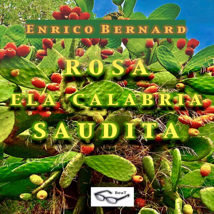 Produktbild: Rosa e la Calabria "Saudita"