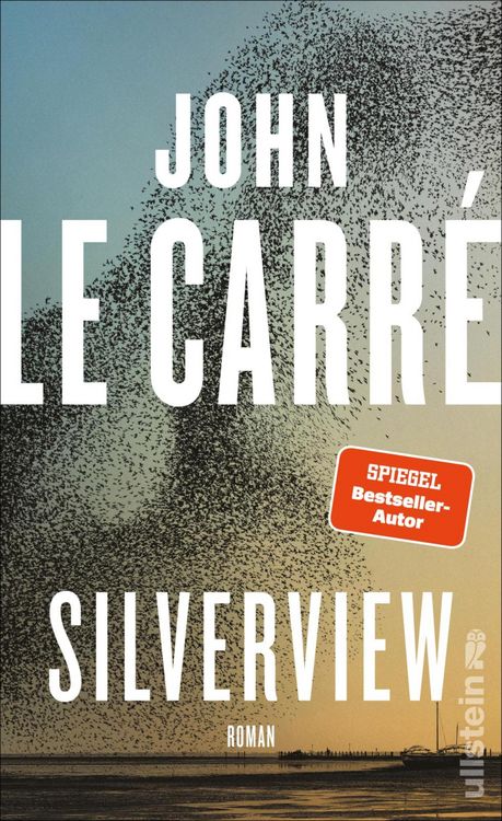 Produktbild: Silverview