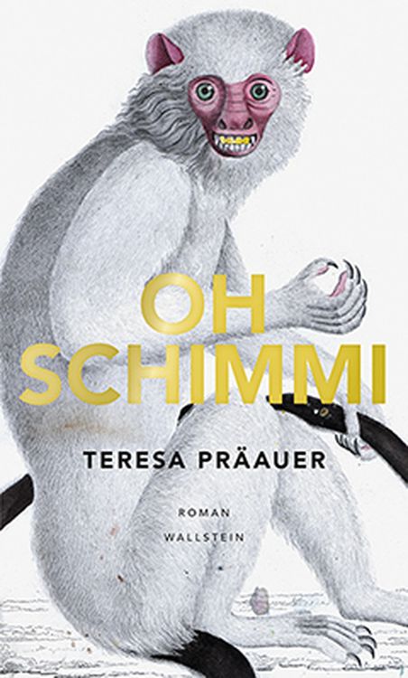 Produktbild: Oh Schimmi