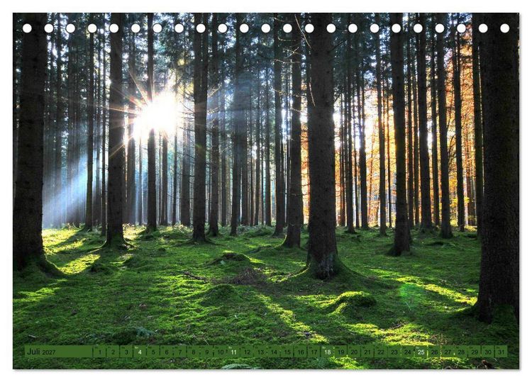 Produktbild: B&auml;ume sind Tr&auml;ume (Tischkalender 2027 DIN A5 quer), CALVENDO Monatskalender