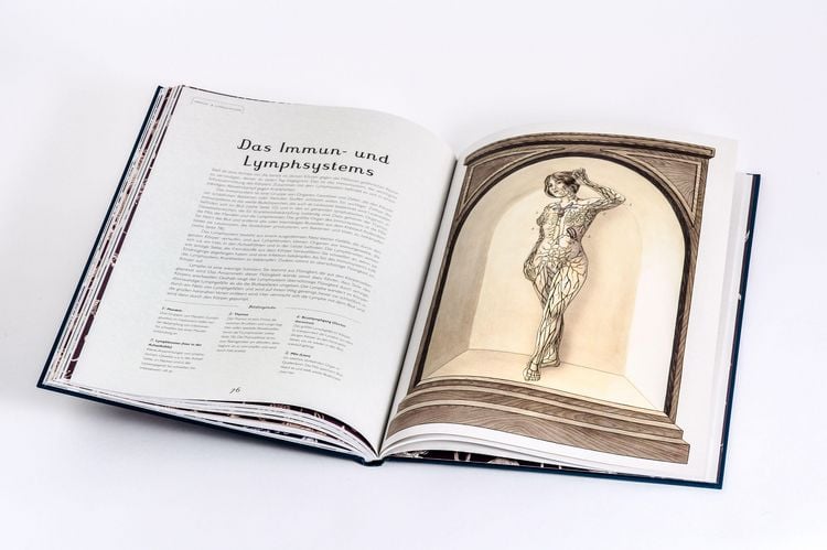 Produktbild: Das Museum des K&ouml;rpers