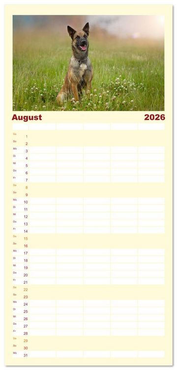 Produktbild: Familienplaner 2026 - Traumhund Malinois mit 5 Spalten (Wandkalender, 21 x 45 cm) CALVENDO
