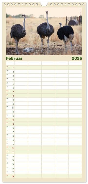 Produktbild: Familienplaner 2026 - Roadtrip in Namibia mit 5 Spalten (Wandkalender, 21 x 45 cm) CALVENDO