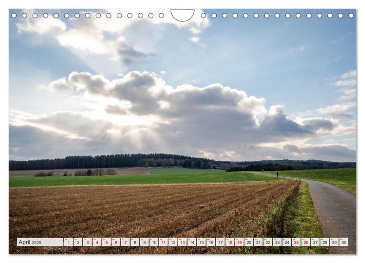 Produktbild: Nationalpark Eifel - Sch&ouml;ne Tage im Gr&uuml;nen (Wandkalender 2026 DIN A4 quer), CALVENDO Monatskalender