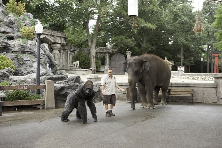 Produktbild: Der Zoow&auml;rter