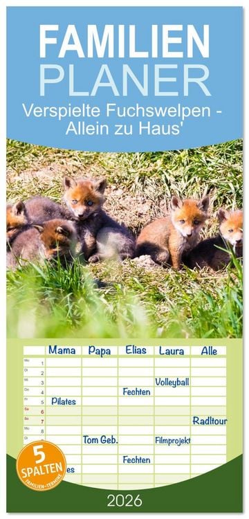 Produktbild: Familienplaner 2026 - Verspielte Fuchswelpen - Allein zu Haus' mit 5 Spalten (Wandkalender, 21 x 45 cm) CALVENDO