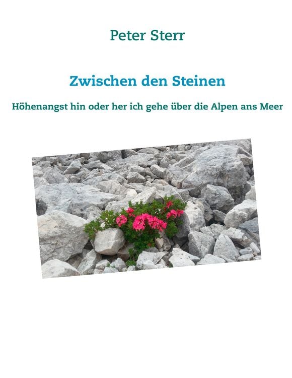 Produktbild: Zwischen den Steinen