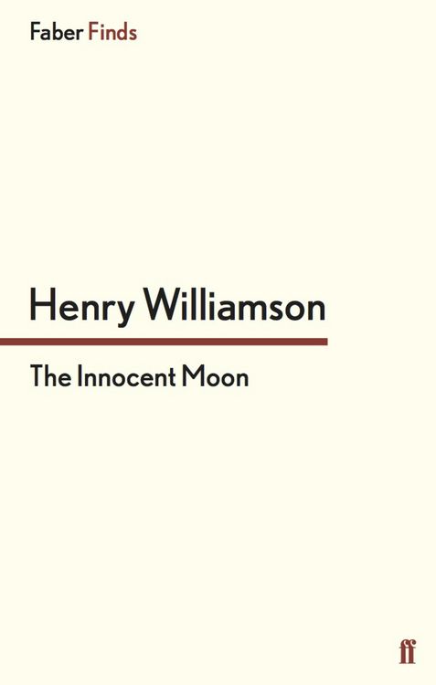 Produktbild: The Innocent Moon