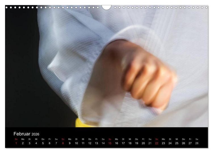 Produktbild: Kampfsport (Wandkalender 2026 DIN A3 quer), CALVENDO Monatskalender
