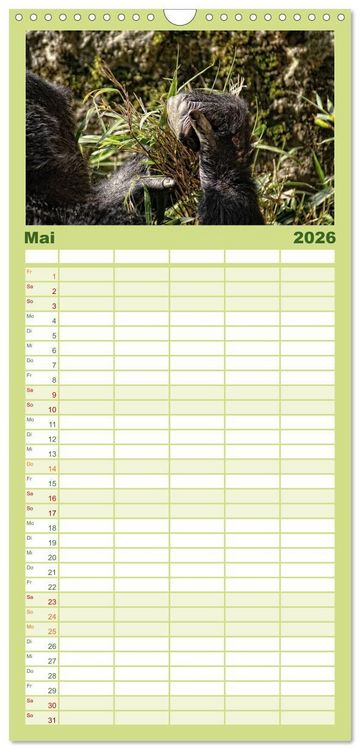 Produktbild: Familienplaner 2026 - Gorillas - Die sanften Wilden mit 5 Spalten (Wandkalender, 21 x 45 cm) CALVENDO