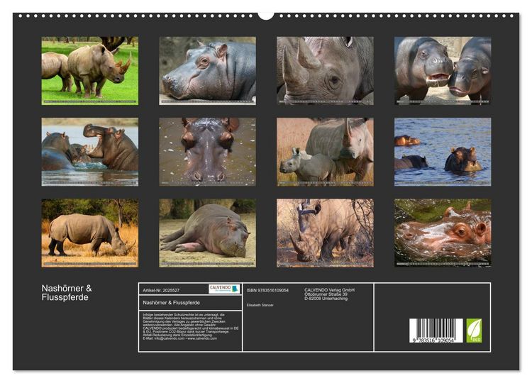 Produktbild: Nash&ouml;rner & Flusspferde (hochwertiger Premium Wandkalender 2026 DIN A2 quer), Kunstdruck in Hochglanz