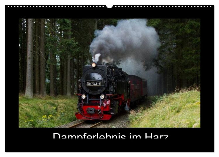 Produktbild: Dampferlebnis im Harz (Wandkalender 2026 DIN A2 quer), CALVENDO Monatskalender
