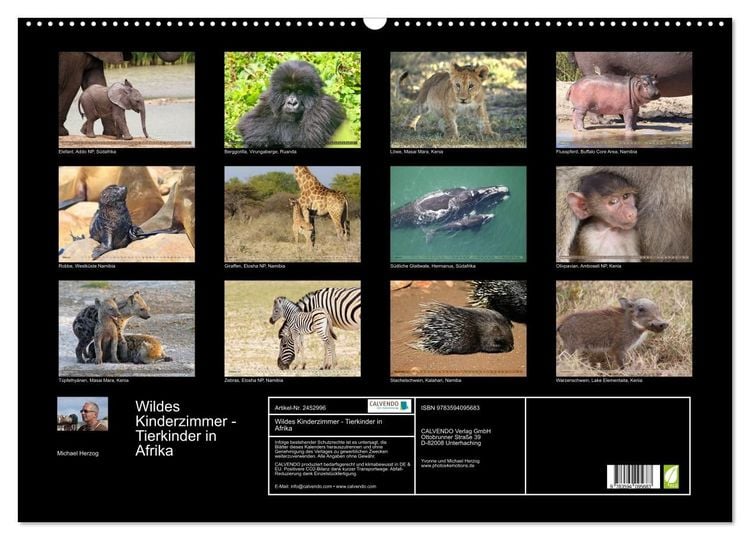 Produktbild: Wildes Kinderzimmer - Tierkinder in Afrika (Wandkalender 2027 DIN A2 quer), CALVENDO Monatskalender