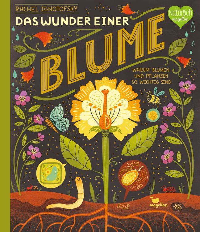 Produktbild: Das Wunder einer Blume - Warum Blumen und Pflanzen so wichtig sind
