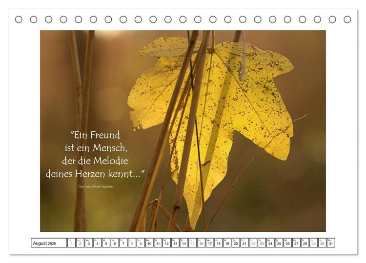 Produktbild: Zitate - Sammlung (Tischkalender 2026 DIN A5 quer), CALVENDO Monatskalender