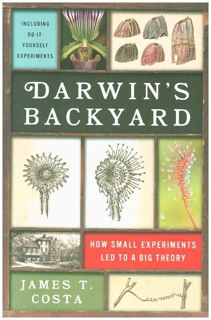 Produktbild: Darwin's Backyard