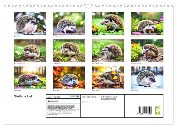 Produktbild: Niedliche Igel (Wandkalender 2026 DIN A3 quer), CALVENDO Monatskalender