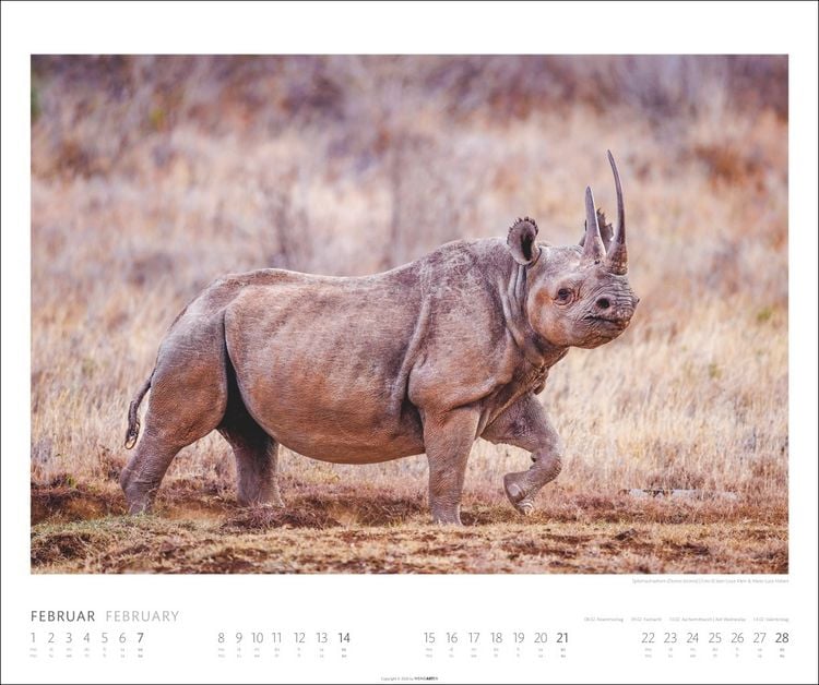 Produktbild: African Wildlife Kalender 2027